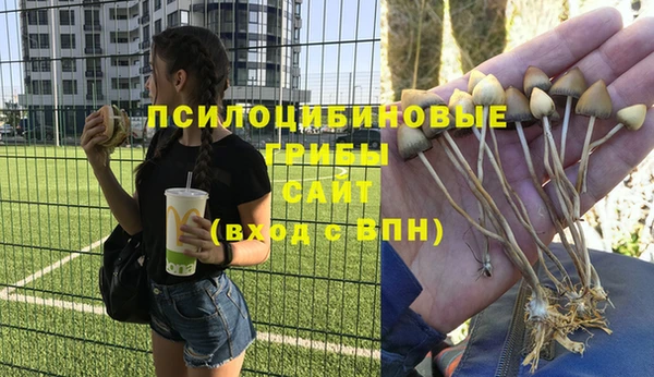 бошки Ладушкин