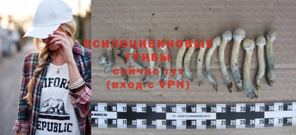 бошки Ладушкин