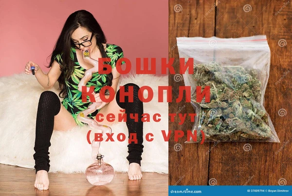 бошки Ладушкин