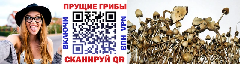 Псилоцибиновые грибы прущие грибы  дарнет шоп  Фокино 