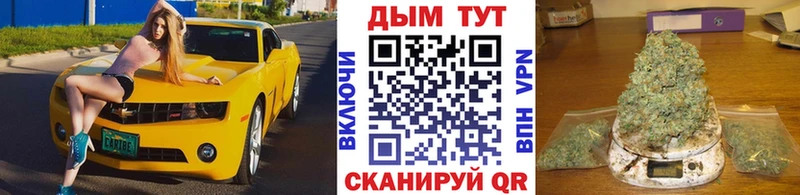 Канабис сатива  где можно купить наркотик  mega маркетплейс  Фокино 